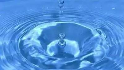 Zakon.kz, фото - Новости Zakon.kz от 03.02.2014 22:55