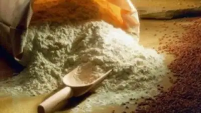 Zakon.kz, фото - Новости Zakon.kz от 01.12.2014 21:06