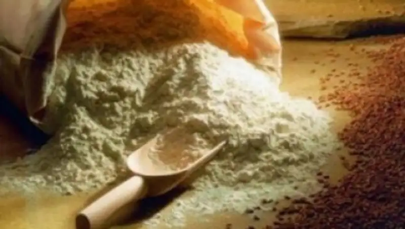 В Кызылординской области откроют мукомольное производство