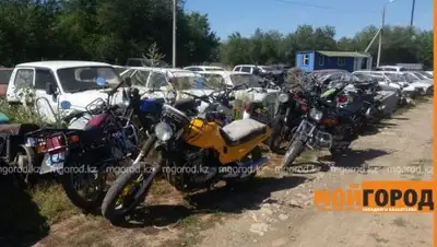 Zakon.kz, фото - Новости Zakon.kz от 17.08.2017 17:54