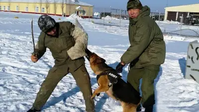 Zakon.kz, фото - Новости Zakon.kz от 18.11.2015 19:04