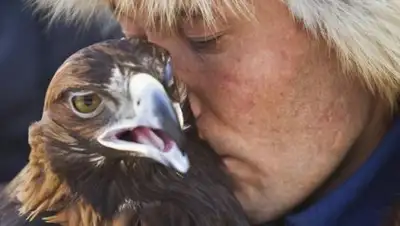 Zakon.kz, фото - Новости Zakon.kz от 24.01.2017 23:08