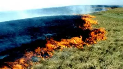 Zakon.kz, фото - Новости Zakon.kz от 06.09.2017 15:59