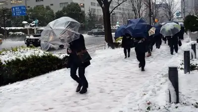 Zakon.kz, фото - Новости Zakon.kz от 11.02.2017 19:14