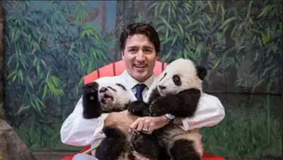 Zakon.kz, фото - Новости Zakon.kz от 20.02.2017 20:09