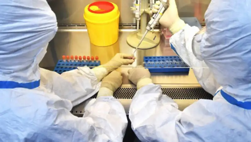 ВОЗ нашла расизм в словах ученых о вакцине против коронавируса