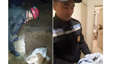 животные, фото - Новости Zakon.kz от 31.07.2022 08:51