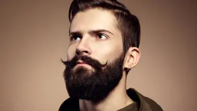 bohenon, фото - Новости Zakon.kz от 30.08.2020 10:55