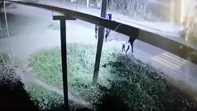 Скриншот, фото - Новости Zakon.kz от 28.10.2019 17:08