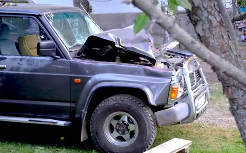 10, фото - Новости Zakon.kz от 15.08.2012 17:49