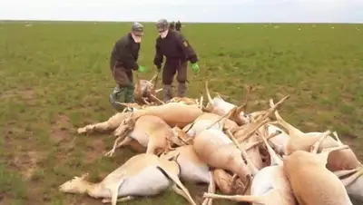 Zakon.kz, фото - Новости Zakon.kz от 24.05.2015 14:45