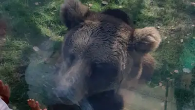 Zakon.kz, фото - Новости Zakon.kz от 06.10.2019 13:38