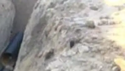 Zakon.kz, фото - Новости Zakon.kz от 10.12.2014 15:46