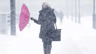 businesspskov.ru, фото - Новости Zakon.kz от 19.12.2020 18:19