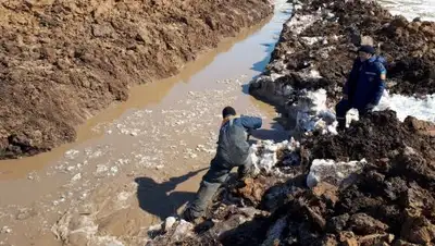 Zakon.kz, фото - Новости Zakon.kz от 17.04.2017 02:59