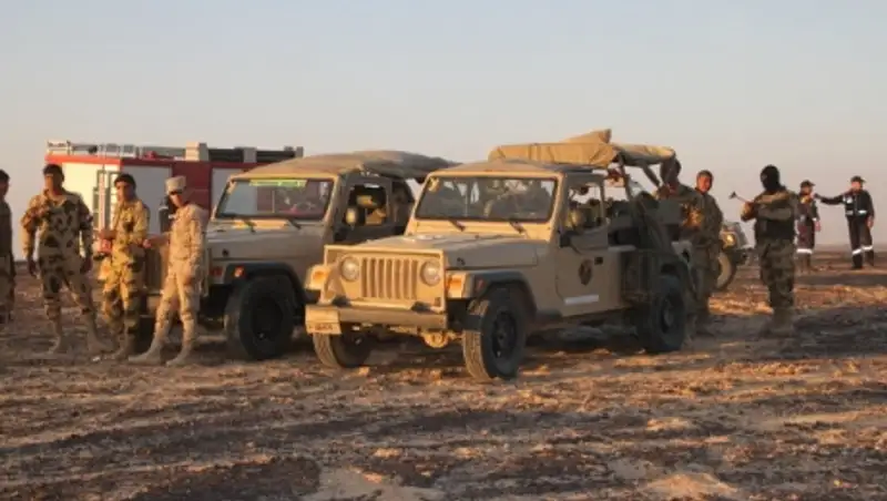 Парламент Египта не вмешивается в расследование катастрофы А321