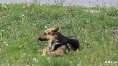 Zakon.kz, фото - Новости Zakon.kz от 06.05.2015 17:37