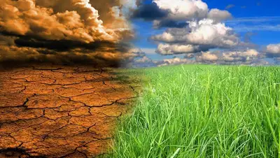 agroexpert.md, фото - Новости Zakon.kz от 29.08.2019 13:09