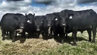 zakon.kz, фото - Новости Zakon.kz от 20.07.2020 09:39