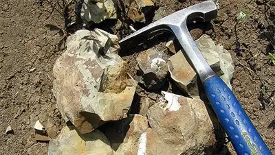 Zakon.kz, фото - Новости Zakon.kz от 10.09.2014 18:05