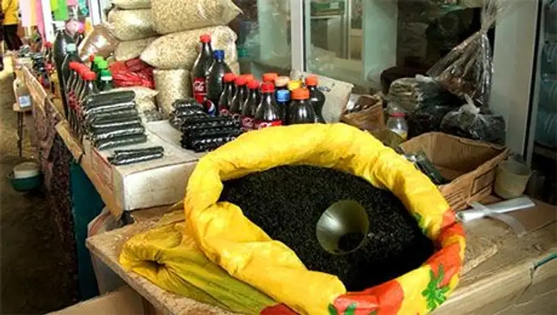 Молодежь Шымкента подсела на насвай — наркологи