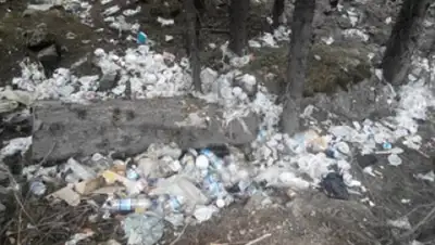 Zakon.kz, фото - Новости Zakon.kz от 24.08.2017 11:55