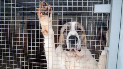 Zakon.kz, фото - Новости Zakon.kz от 20.10.2015 12:38