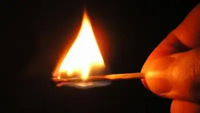 Zakon.kz, фото - Новости Zakon.kz от 18.02.2017 22:31