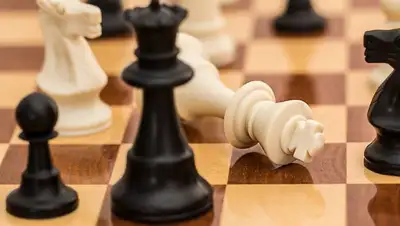 Казахстанские шахматистки обыграли соперниц из Бельгии