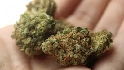 pixabay.com, фото - Новости Zakon.kz от 22.02.2019 18:53