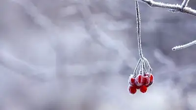 Погода на выходные: алматинцы встретят новый год без снега, фото - Новости Zakon.kz от 31.12.2022 09:27