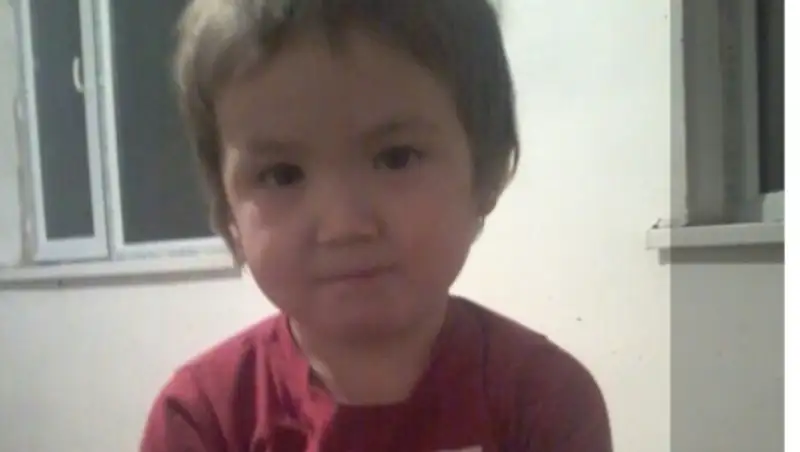 Спящим в зарослях нашли пропавшего 3-летнего ребенка полицейские Кызылорды