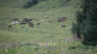 zakon.kz, фото - Новости Zakon.kz от 18.10.2021 14:48