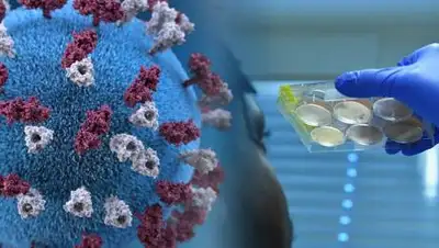 RTVE.es, фото - Новости Zakon.kz от 16.10.2020 01:09