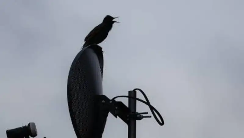 Может ли Казахстан решить проблему "серых" тарелок