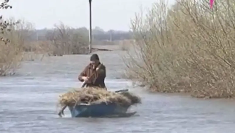 Ишим топит пригород Петропавловска