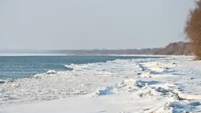 omskiteboarding.ru, фото - Новости Zakon.kz от 30.03.2018 10:45