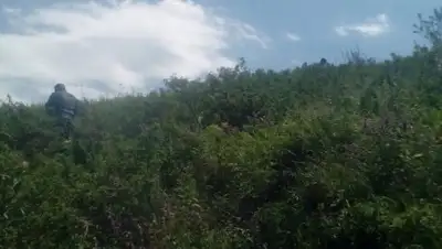 пресс-служба КЧС МВД РК, фото - Новости Zakon.kz от 18.07.2018 14:08