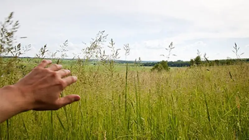 В Казахстане изменятся условия аренды земли иностранцами