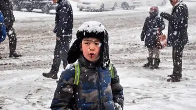 pixabay.com, фото - Новости Zakon.kz от 19.02.2019 11:51