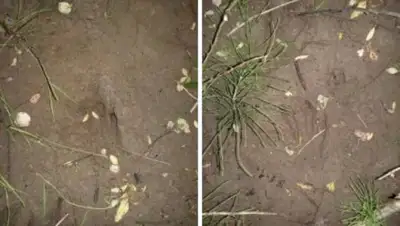 Zakon.kz, фото - Новости Zakon.kz от 27.06.2016 16:03