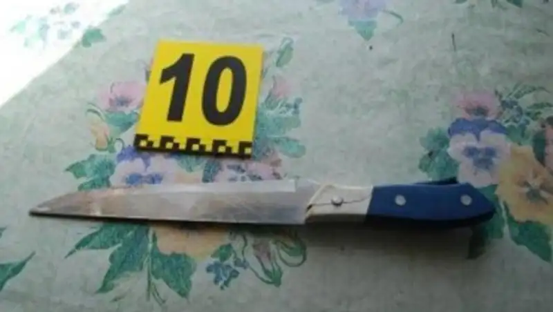 Житель Капшагая зарезал мать и пытался покончить жизнь самоубийством