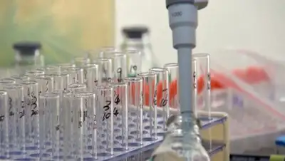 zakon.kz., фото - Новости Zakon.kz от 25.08.2020 21:33