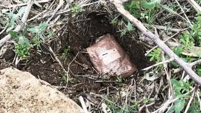 иллюстрированное фото РгК "Оңтүстік", фото - Новости Zakon.kz от 15.04.2021 18:42