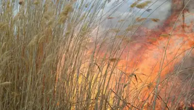 24kz, фото - Новости Zakon.kz от 06.09.2020 10:01