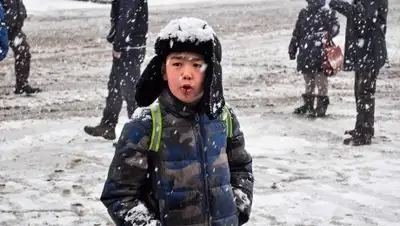 pixabay, фото - Новости Zakon.kz от 28.01.2019 06:18