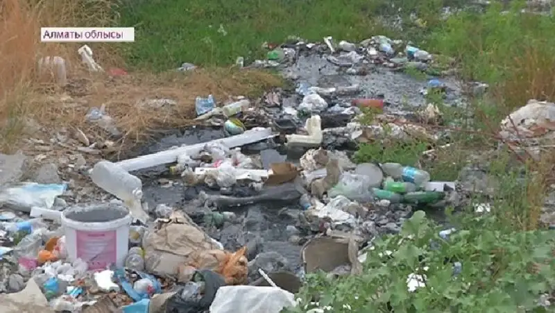 На вонь местного пивзавода пожаловались жители Алматинской области