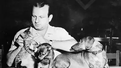 Zakon.kz, фото - Новости Zakon.kz от 07.11.2017 12:01