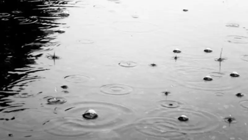 Дожди с грозами ожидаются на большей части Казахстана