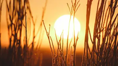 Очень сильная жара, дождь, пыльная буря: погода в Казахстане на 9 июня, фото - Новости Zakon.kz от 08.06.2023 18:07